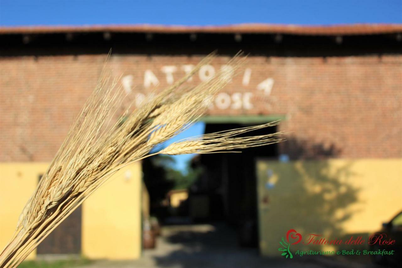 Fattoria Delle Rose Villa Salussola Eksteriør bilde